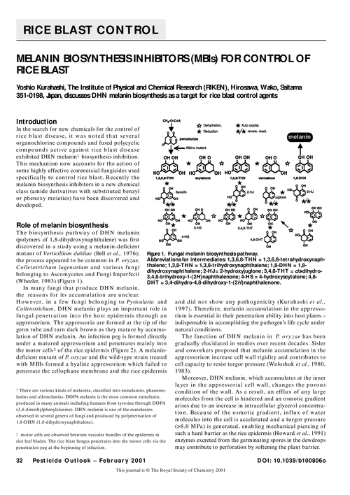 Melanin biosynthesis inhibitors (MBIs) for control of rice blast