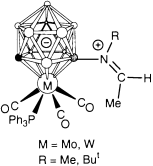 Graphical abstract: Monocarbollide complexes of molybdenum and tungsten: functionalization through reactions at a cage boron centre [ ]