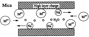 Graphical abstract: Synthesis of Na-2-mica from metakaolin and its cation exchange properties