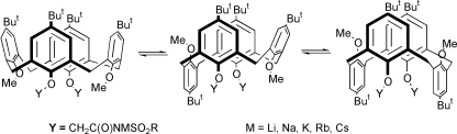 Graphical abstract: Unusual conformational control of mobile mono- and diionizable calix[4]arene ligands by alkali metal cations [ ]  [ ]