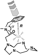 Graphical abstract: Importance of the chromophore orientation to the ligand-to-metal energy transfer in lanthanide complexes with pendant-arm fitted cyclen derivatives [ ]