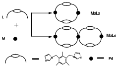 Graphical abstract: Assembly of a twin-cage complex containing a linear array of Pd3 [ ]