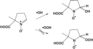 Graphical abstract: 5-Carboxy-5-methyl-1-pyrroline N-oxide: a spin trap for the hydroxyl radical