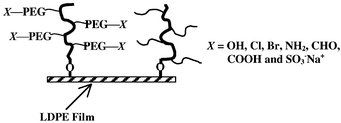 Graphical abstract: Surface functionalization of low density polyethylene films with grafted poly(ethylene glycol) derivatives