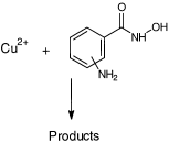 Graphical abstract: Copper(II) complexes of isomeric aminophenylhydroxamic acids. A novel ‘clam-like’ dimeric metallacrown and polymeric helical structure containing interlinked unique copper(II) sites