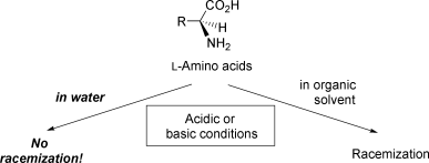 Graphical abstract: Does water suppress the racemization and decomposition of amino acids?