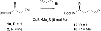 Graphical abstract: Improved catalytic procedures for the copper(I)-promoted reactions of β-amido zinc reagents