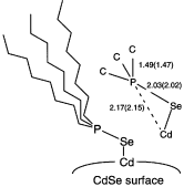 Graphical abstract: Evidence for the chemical nature of capping in CdSe nanoparticles prepared by thermolysis in tri-n-octylphosphine oxide from P-edge EXAFS spectroscopy