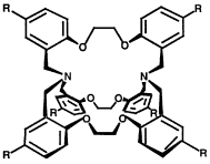 Graphical abstract: Macrocyclic ligand design. A synthetic, solvent extraction, computational and NMR study of the effect of cryptand flexibility on sodium ion affinity