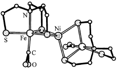 Graphical abstract: Nickel(II) in an almost regular tetrahedral thiolate environment: a first generation synthetic analogue of the active site of nickel CO-dehydrogenase