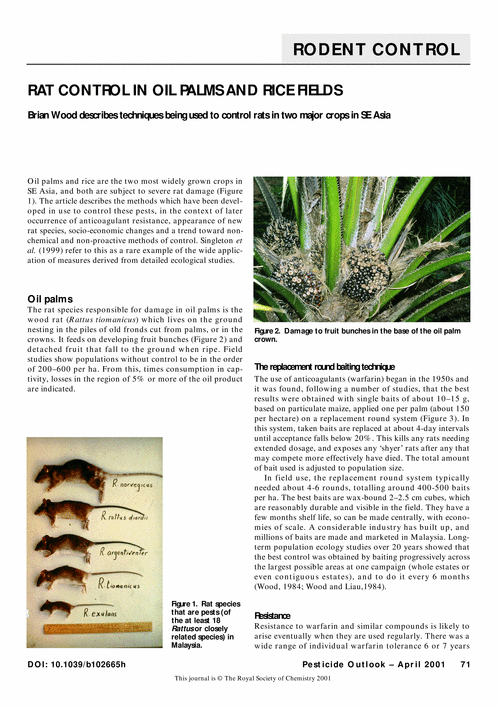 Rat control in oil palms and rice fields