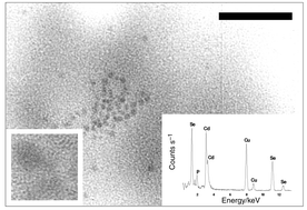 Graphical abstract: High-order stimulated Raman scattering in a χ(3)-active molecular glass: Ca(NO3)2∶KNO3 under picosecond excitation