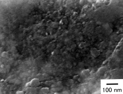 Graphical abstract: Use of a Ti/C/N ceramic to promote sintering of nanoparticles of shock-synthesized superhard B/C/N with a diamond-like structure