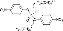 Graphical abstract: Phosphate ester hydrolysis by yttrium(iii) complexes with Bis-Tris propane and Tris ligands