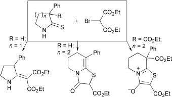 Graphical abstract: Influence of ring size on the outcome of sulfide contraction reactions with thiolactams. Isolation of bicyclic ketene S,N-acetals and thioisomünchnones