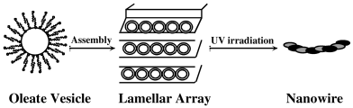 Graphical abstract: Oleate vesicle template route to silver nanowires