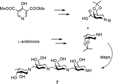 Graphical abstract: A bioisosteric oligosaccharide mimetic based on isofagomine-type monomers