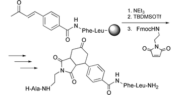 Graphical abstract: Peptido-organic Diels–Alder reactions on hydrophilic resin: scope for combinatorial chemistry