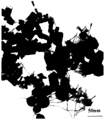 Graphical abstract: Shape-controlled synthesis of nanostructured gold by a protection–reduction technique