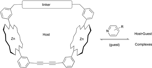 Graphical abstract: Enthalpic and entropic contributions to the enhanced binding of pyridine ligands by cyclic metalloporphyrin hosts