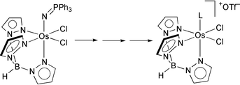 Graphical abstract: Osmium(iv) complexes TpOs(X)Cl2 and their Os(iii) counterparts: oxidizing compounds with an unusual resistance to ligand substitution