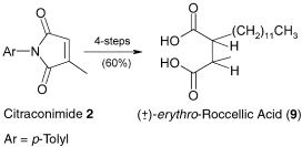 Graphical abstract: First efficient synthesis of (±)-erythro-roccellic acid