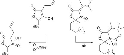 Graphical abstract: Oxidations of 3-alkenyltetronic acids with dimethyldioxirane (DMD) and air: regioselectivity and formation of a spirotricyclic hemiketal endoperoxide lactone