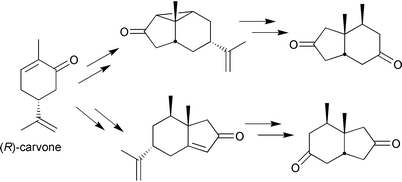 Graphical abstract: Chiral synthons from carvone. Part 50. Enantiospecific approaches to both enantiomers of bicyclo[4.3.0]nonane-3,8-dione derivatives