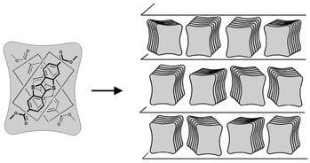 Graphical abstract: Bipolar carrier transport in a lamello-columnar mesophase of a sanidic liquid crystal