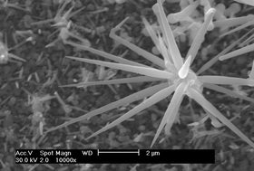 Graphical abstract: Growth of GaSb whiskers by thermal decomposition of a single source precursor