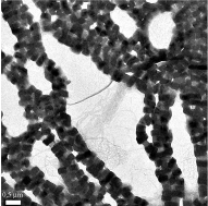 Graphical abstract: A new compound derived from Magnus' green salt: solid state structure and evidence for platinum chains in solution