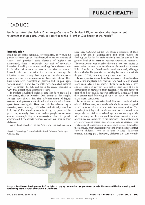 Head lice