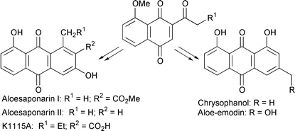 Graphical abstract: Intramolecular aldol-type condensation between side chains of naphthoquinones: biomimetic synthesis of 1,6- and 1,8-dihydroxyanthraquinones