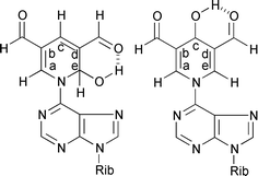 Graphical abstract: Condensation of triformylmethane with adenosine: novel cyclic adducts derived from 1,3-dicarbonyl compounds