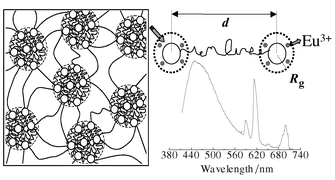 Graphical abstract: Structural modelling of Eu3+-based siloxane–poly(oxyethylene) nanohybrids