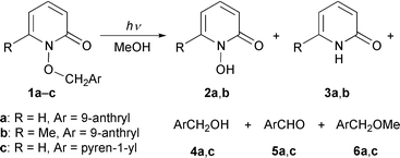 Graphical abstract: Competitive occurrence of homolytic N–O and heterolytic C–O bond cleavage in excited-state 1-(arylmethyloxy)-2-pyridones