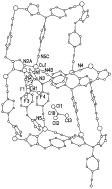 Graphical abstract: A Cu(I) coordination polymer employing a nonsteroidal aromatase inhibitor letrozole as a building block