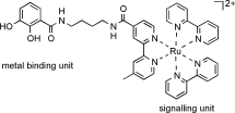 Graphical abstract: Selective signalling of molybdate by a siderophore derivative