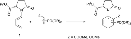 Graphical abstract: Asymmetric synthesis of β- and γ-amidophosphonates by Diels–Alder reaction using chiral aminodiene: theoretical and experimental study of the facial selectivity of chiral N-dienyl lactam