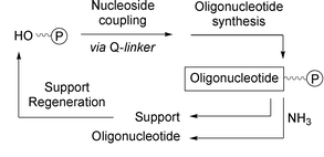 Graphical abstract: Reusable solid-phase supports for oligonucleotides and antisense therapeutics