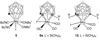 Graphical abstract: Reactivity of the molybdenacarbaborane anion [2,2,2,2-(CO)4-closo-2,1-MoCB10H11]−: metal oxidation versus cage substitution