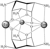 Graphical abstract: Lanthanide complexes of 1,3,5-triamino-1,3,5-trideoxy-cis-inositol: evidence for heterotrinuclear species in aqueous solution