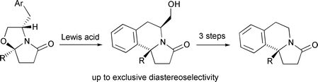 Graphical abstract: Stereoselective synthesis of the pyrroloisoquinoline ring system