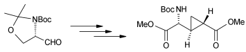 Graphical abstract: A concise and efficient stereoselective synthesis of protected (2R,1′S,2′S)-2-(carboxycyclopropyl)glycine (D-CCG-I)