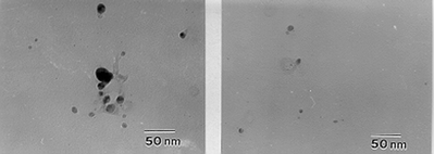 Graphical abstract: Effect of phthalates on the stability and performance of AgBF–PVP membranes for olefin/paraffin separation