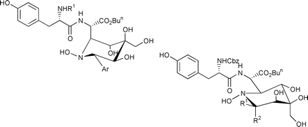 Graphical abstract: Lewis-acid catalysed arylation of the hydroxyamino sugar moiety of the natural product SB-219383