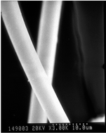 Graphical abstract: Preparation and characterization of dense Pb1 − xLaxTiO3 (x = 0.0∼0.2) fibers through the sol–gel-related solvothermal process