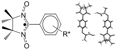 Graphical abstract: Racemic and enantiomerically pure phenyl α-nitronyl nitroxide radicals: influence of chirality on solution and solid state properties