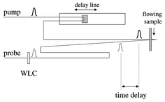 Graphical abstract: Early photochemical dynamics of organometallic compounds studied by ultrafast time-resolved spectroscopic techniques