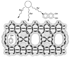 Graphical abstract: Shape-selective photocatalytic transformation of phenols in an aqueous medium